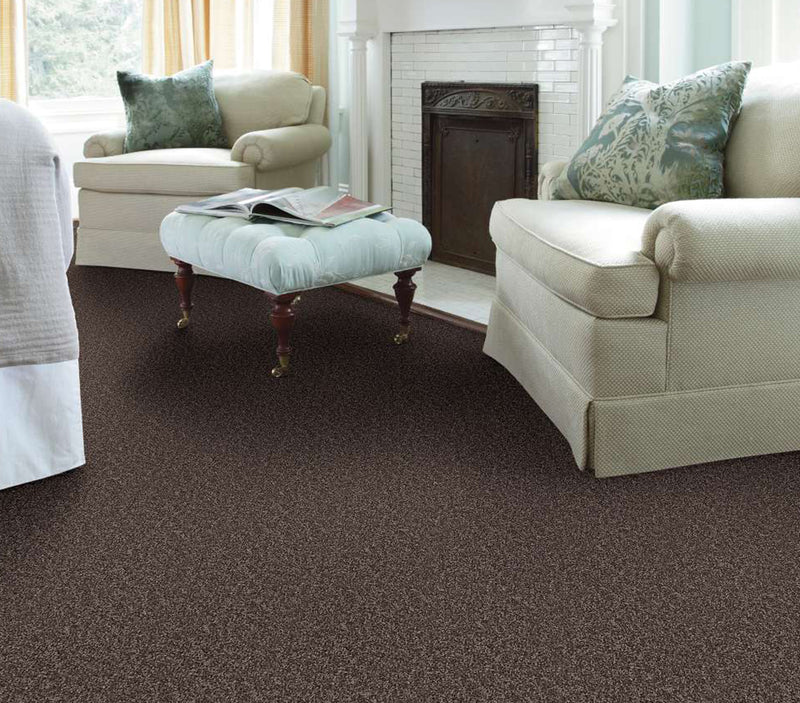 Venture Solid Mocha