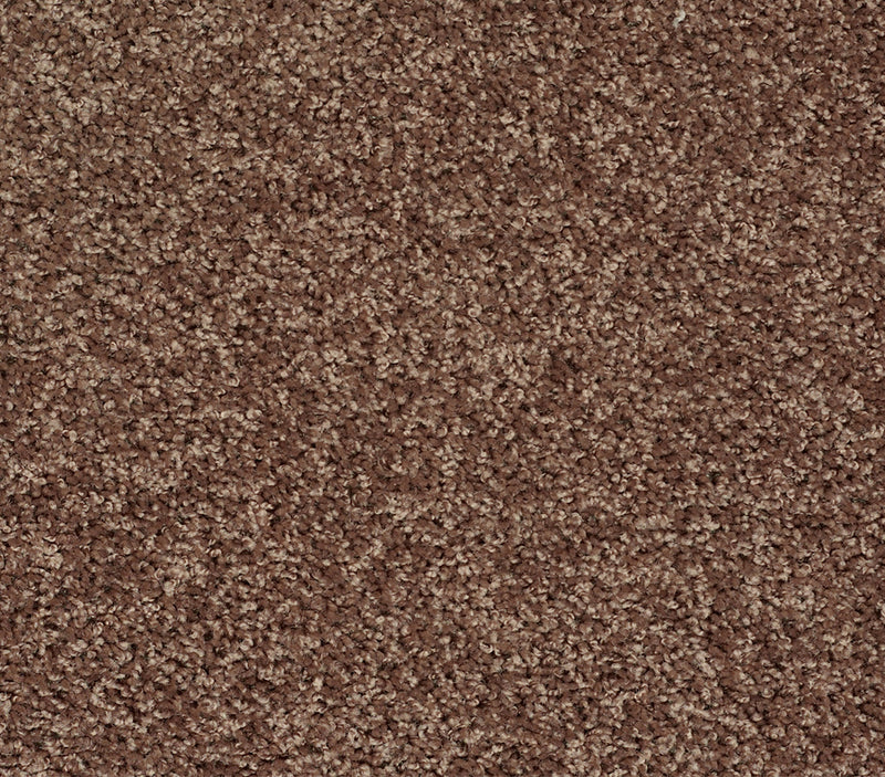 Venture Solid Mocha