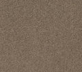 Venture Solid Natural Tan