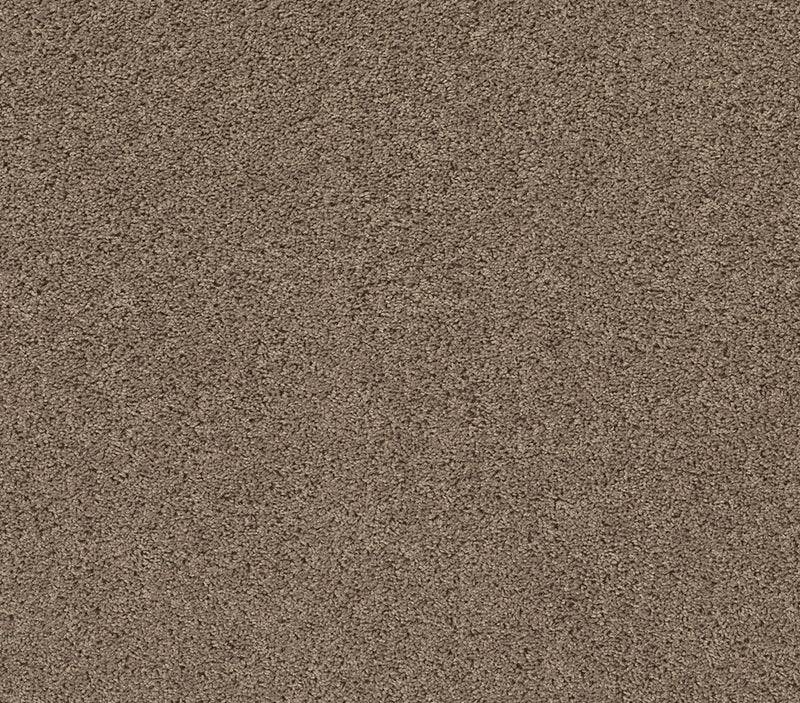 Venture Solid Natural Tan
