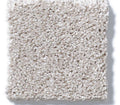 Whats Up Catnip