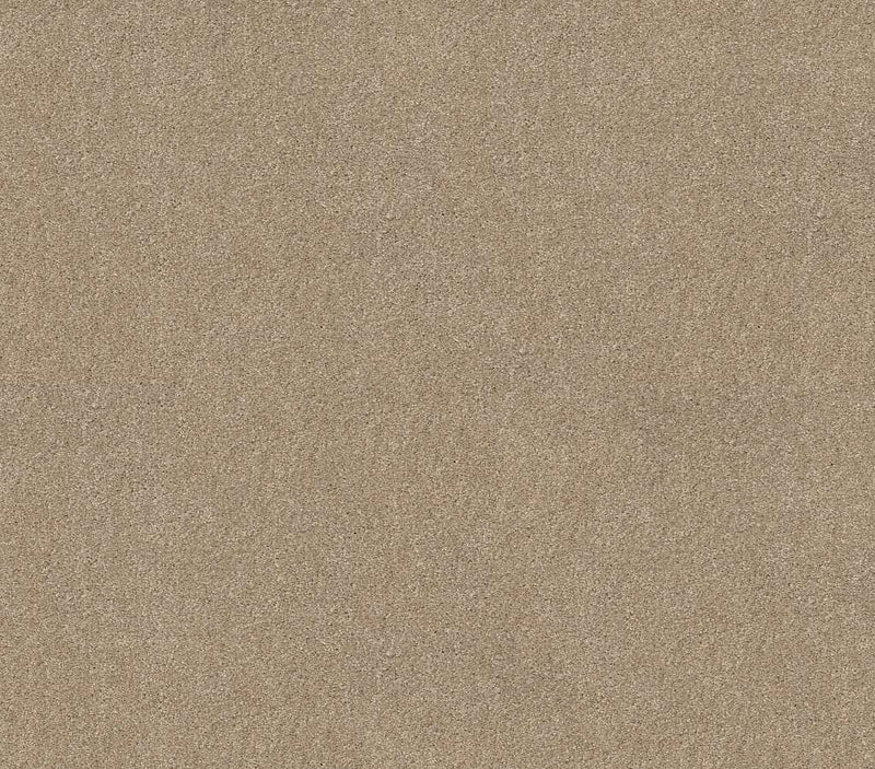 Whats Up French Canvas