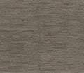Woodland 8x10 Bark 8x10