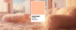 Elevate Your Home with Peach Fuzz, Pantone's 2024 Color of the Year