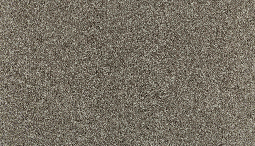 KS123 819