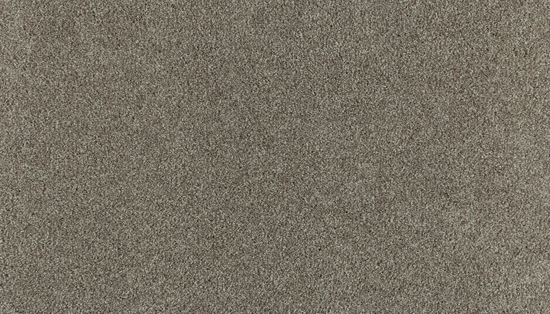 KS123 819