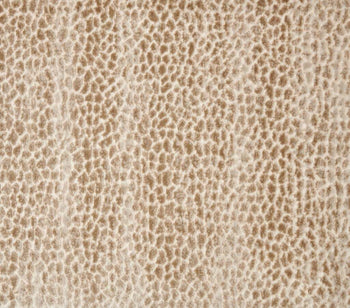 Allegory Dune