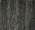 Allegory Graphite