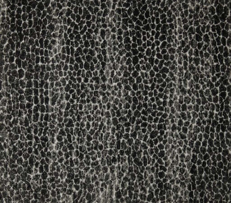 Allegory Graphite