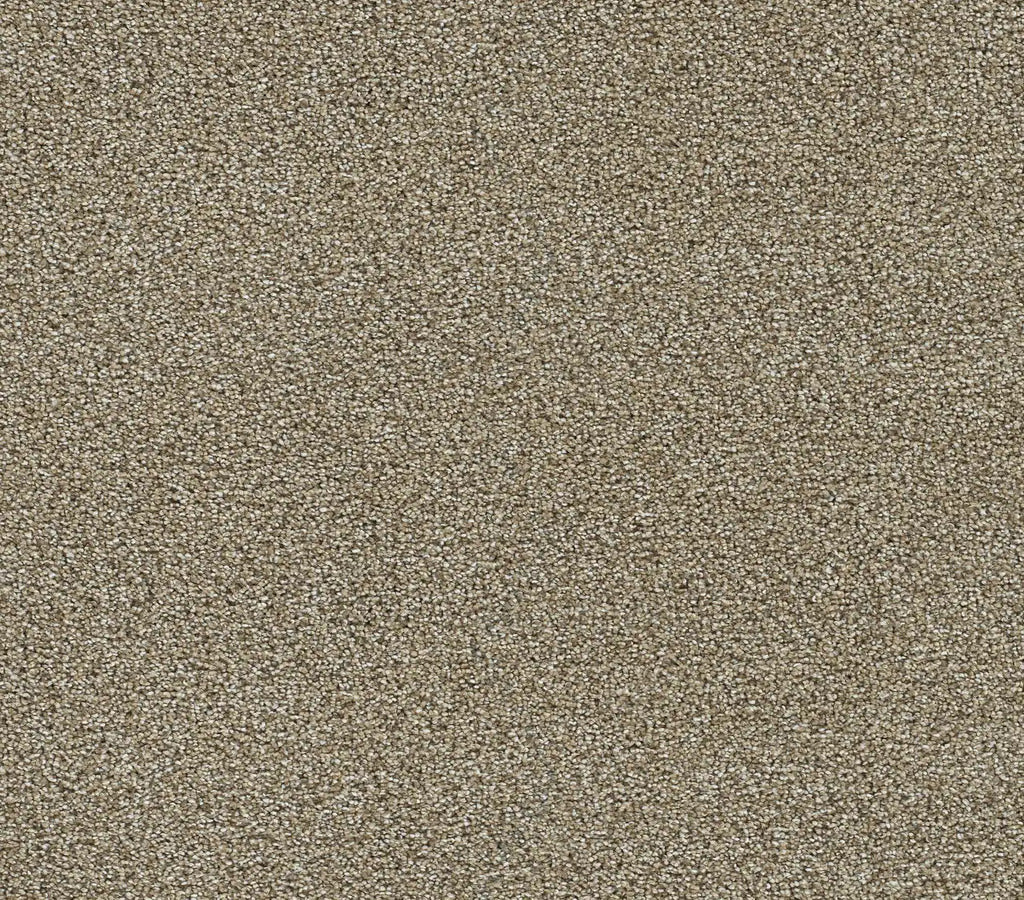 Arrived Toasted Oat
