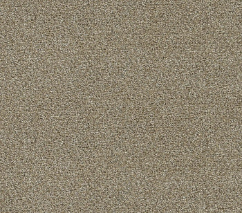 Arrived Toasted Oat