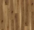 Aspire Amber Oak