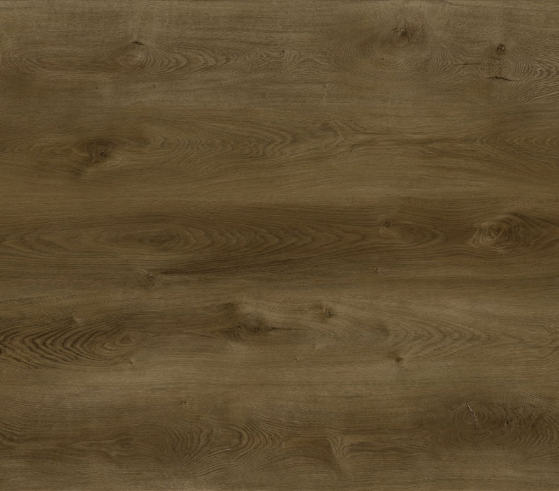 Aspire Regency Oak Sample