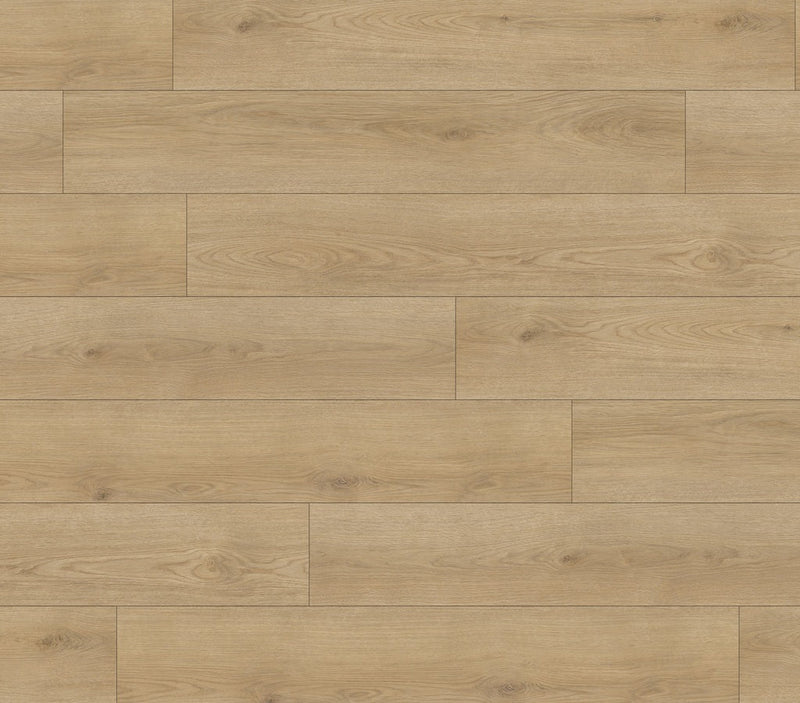 Aspire Sunrise Oak Sample