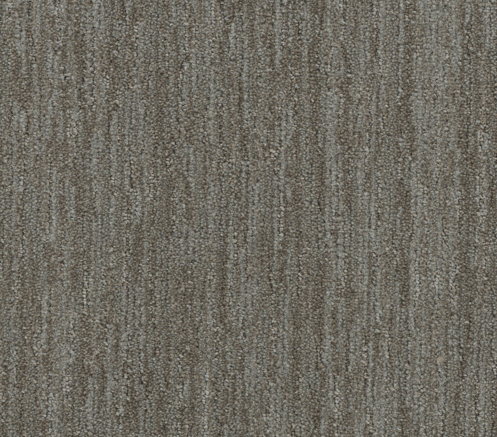 Baja Mesquite