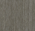 Baja Mesquite