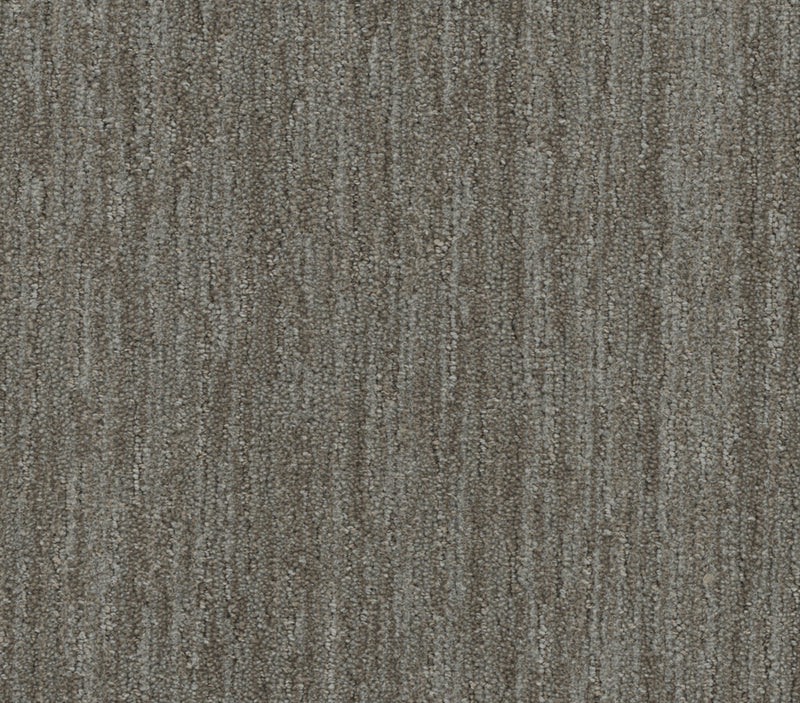Baja Mesquite
