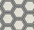 Bee Hive Honeycomb Cool