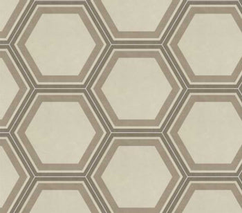 Bee Hive Honeycomb Warm