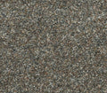 Bold Option SB 974