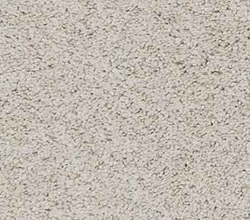 Canine Comfort Canvas Cloth