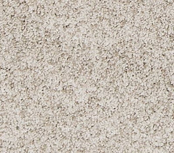Canine Comfort Frosted Almond
