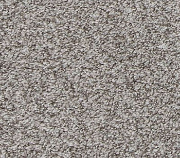 Canine Comfort Pebble Path