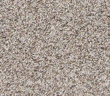 Canine Comfort Soapstone