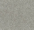 Captivating I Gravel Stone