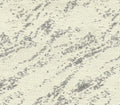 Carrera II SB Graphite