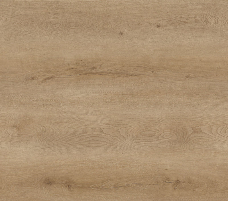 Chatham Sierra Oak Sample