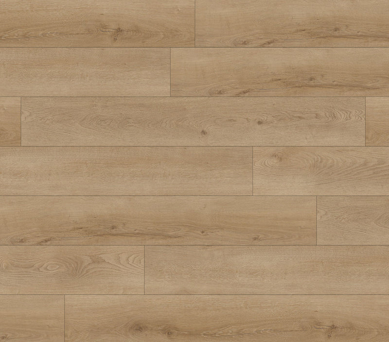 Chatham Sierra Oak Sample