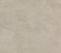 Choice Burrow Beige