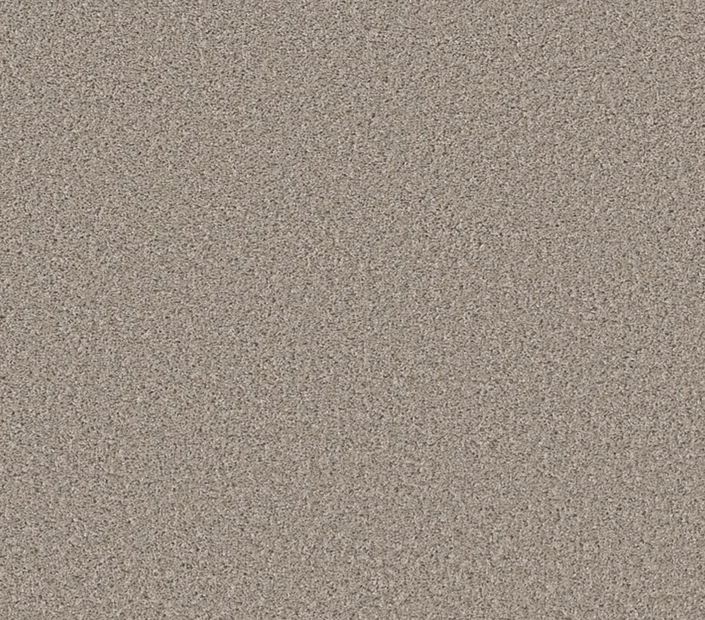 Commanding Solid Beech