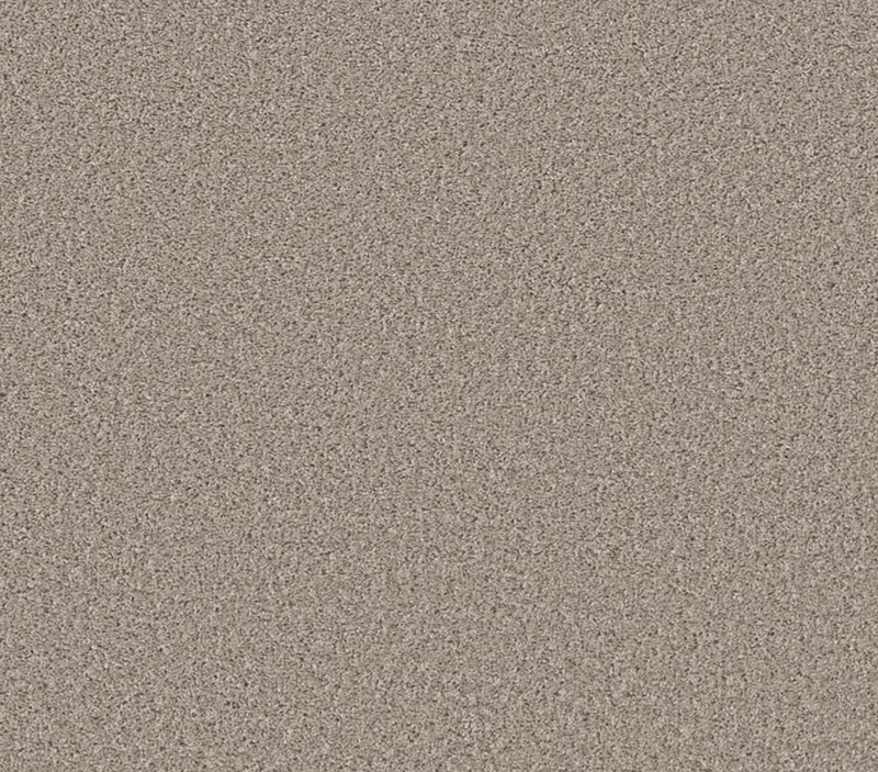 Commanding Solid Beech