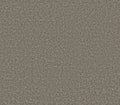 Commanding Tonal Barely There