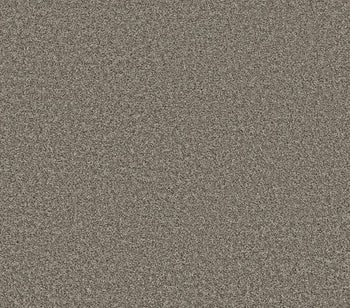 Commanding Tonal Barely There