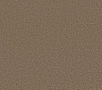 Commanding Tonal Rodeo