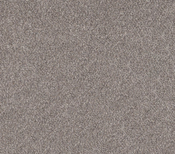 Commanding Tweed Oxford
