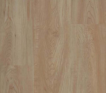 Connectivity Woods SB Northern Maple