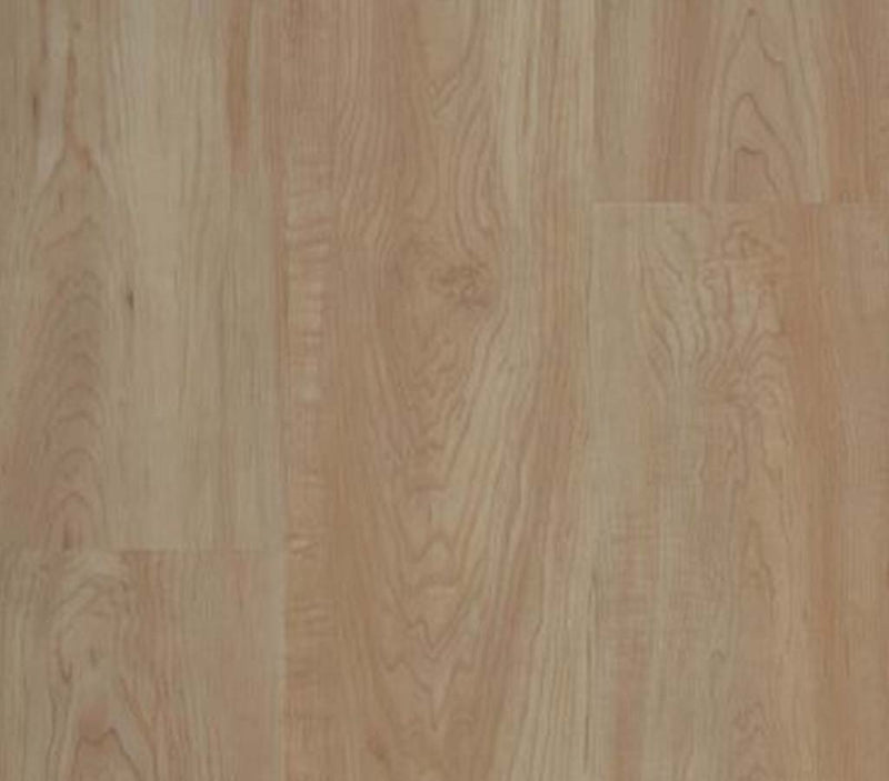 Connectivity Woods SB Northern Maple