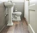 COREtec Plus Blackstone Oak