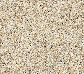 Diffurent Choice I Coconut