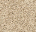 Diffurent Choice I Sandy Beach
