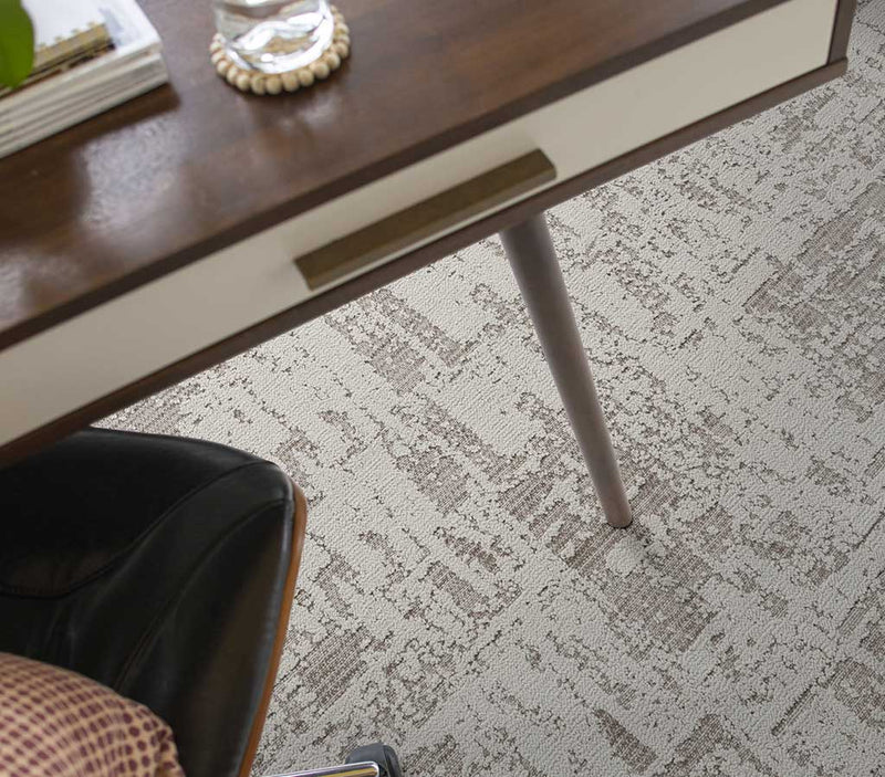 Discover Grey Fox
