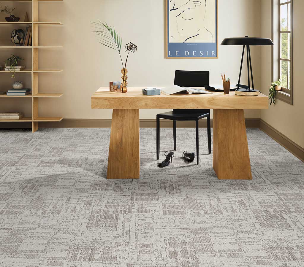 Discover Grey Fox
