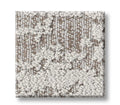 Discover Grey Fox