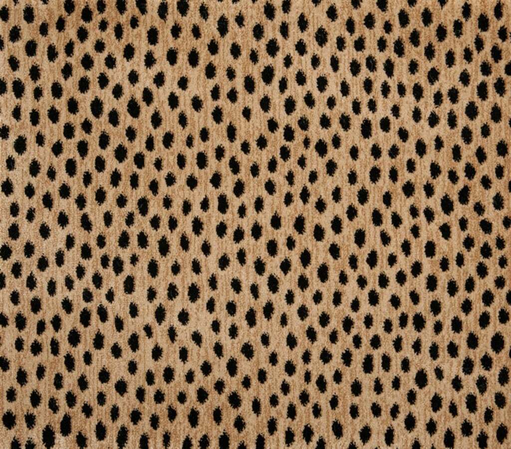 Dottie Bronze