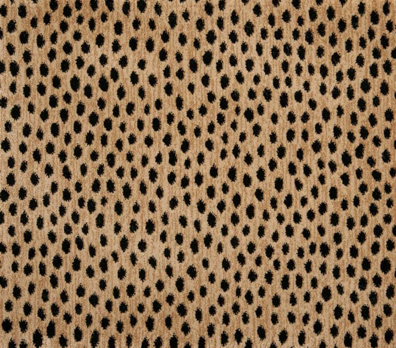Dottie Bronze