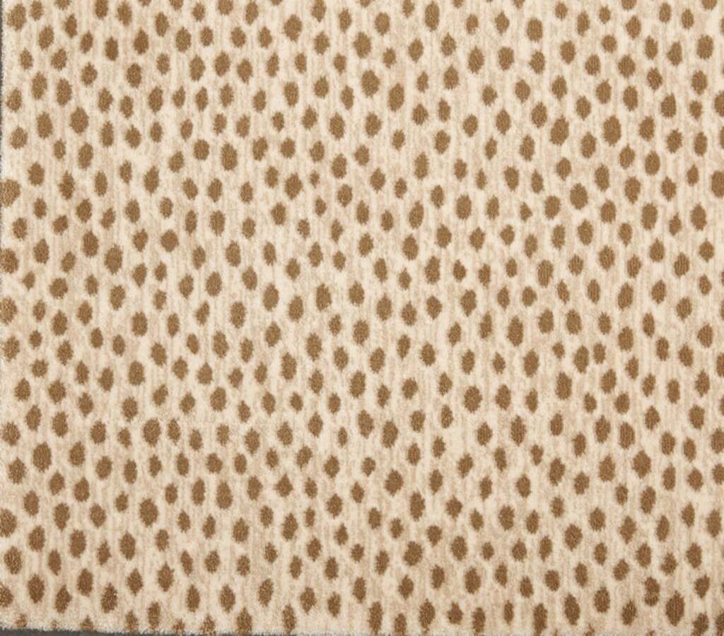 Dottie Desert